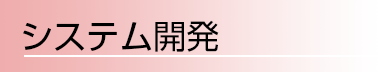 システム開発